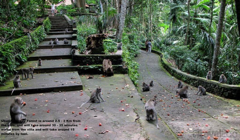 Private Villa Wayan Ubud  Exterior photo